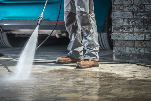 Best Fleet Vehicle Washing  in Panora, IA