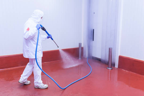 Best Patio and Deck Pressure Washing  in Panora, IA