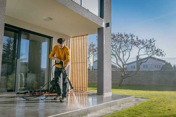 Best Building Exterior Washing  in Panora, IA